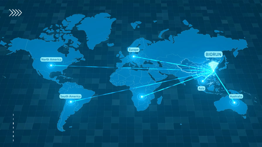 Partner with Biorun Socks Factory